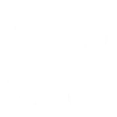 The Tawaki Project 2024 - Compact - Copy White Thumbnail